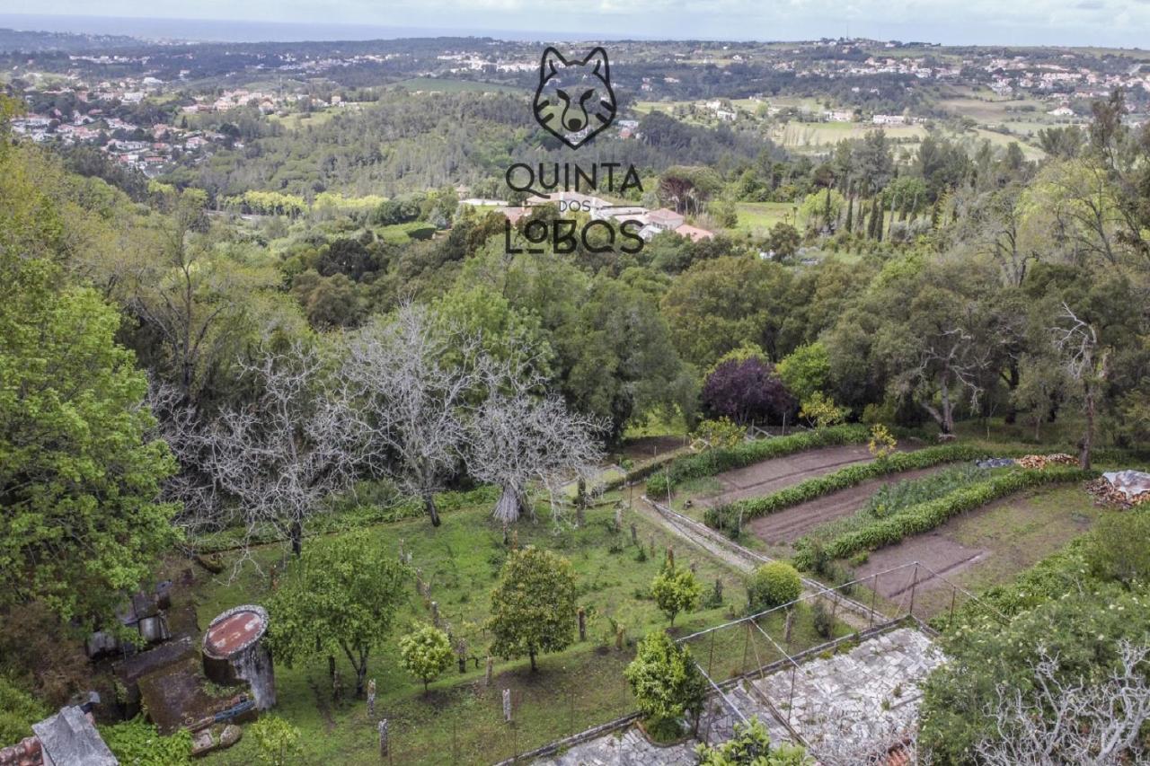 Quinta Dos Lobos Boutique Hotel - Nature Experience Sintra Exterior foto